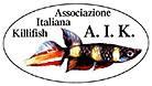 Associazione Italiana Killifish
