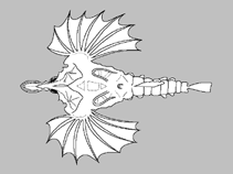 Image of Pegasus lancifer (Sculptured seamoth)