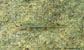 Sichl_m0.jpg