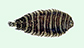 Zezeb_u0.jpg